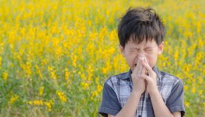 boy sneezing in flowers