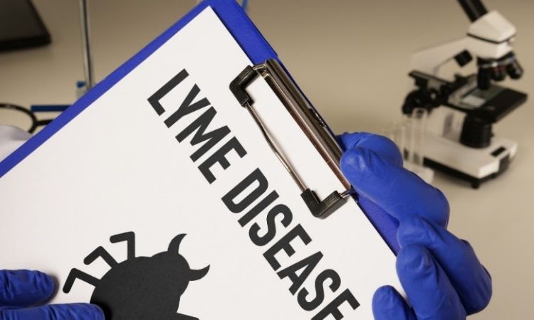 a blue clipboard being held that has paper reading "lyme disease" with an image of a tick on it as well