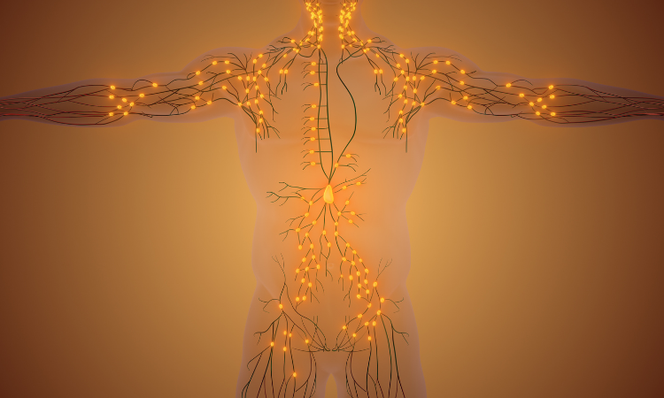 Graphic of the human body with areas highlighted internally indicating areas of inflammation.